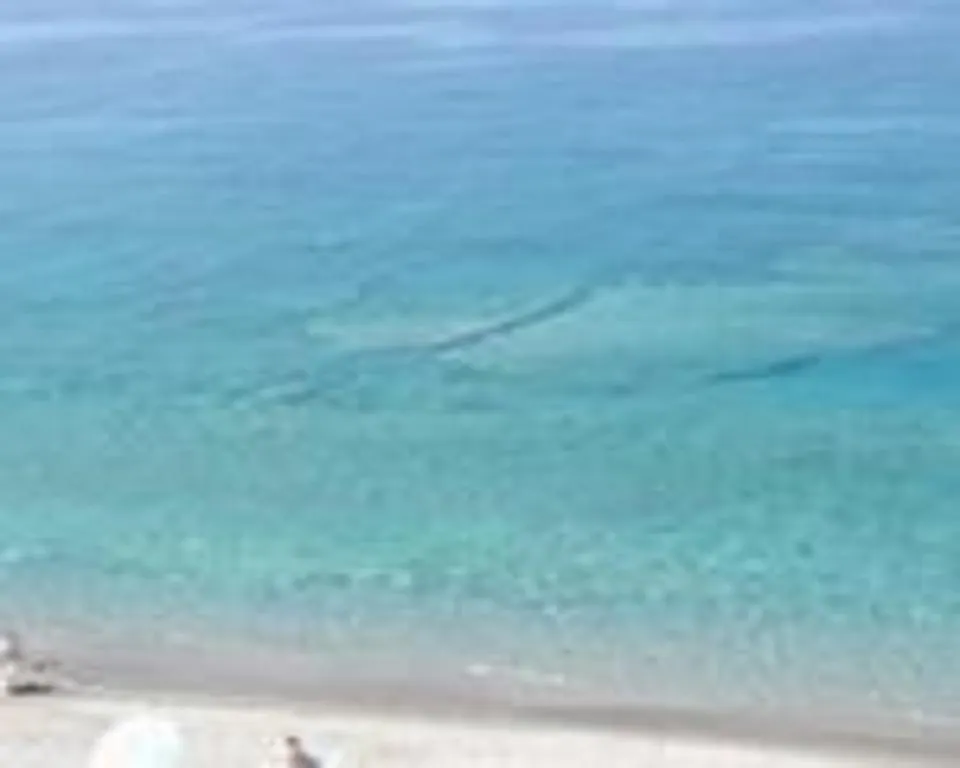 Ferienwohnung Terrazza Sul Mare Gioiosa Marea 0*,  Italien